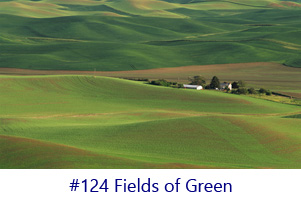 Fields of Green Screen Image