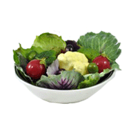 Fake Foods for Display - Salads and Vegetables