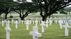 60" TV Screen Image #113 Fallen Heroes (Screen Print Only. 60 Inch TV Prop Not Included)