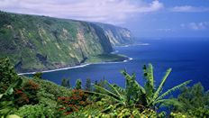 Laptop Screen Image #161 Hawaiian Coast Screen Image (Laptop Screen Image Only. Laptop Prop Not Included)